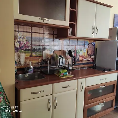 на море с собственным бассейном и подземным гаражом Apartment Sveti Vlas